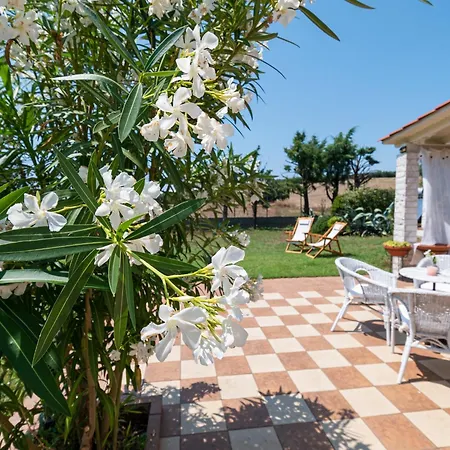 Alex & Billy House By Travel Pro Services - Nea Flogita Halkidiki *